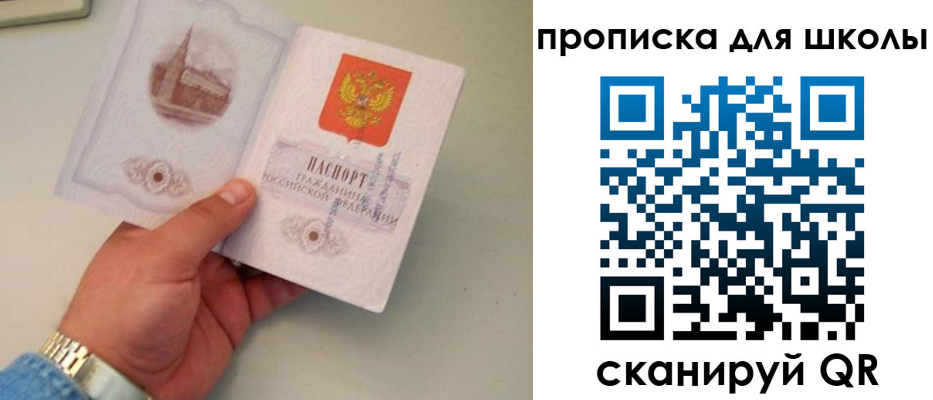 временная регистрация поиск в Воронежской области